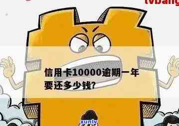 信用卡10000逾期-信用卡10000逾期一天多少利息