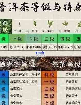 全面解析三级普洱茶：从产地、工艺到品鉴，一文解答您的所有疑问