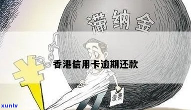 信用卡逾期实际情况怎么填：正确填写及报告方式