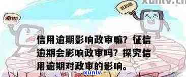 国考政审逾期解决方案：如何应对、影响及恢复信用？