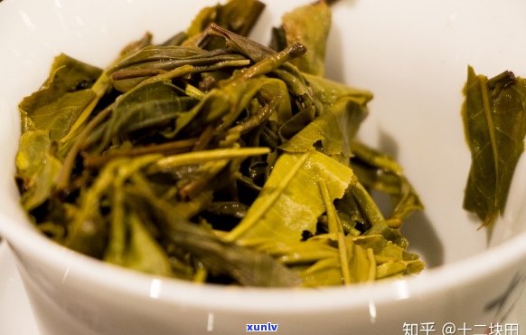 广东人是否适合现在喝普洱茶？