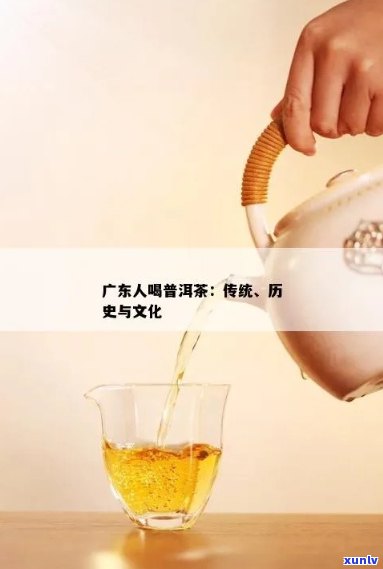 广东人是否适合现在喝普洱茶？