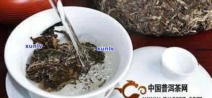 广东女生喝普洱茶的好处、适宜时间和饮用 *** 全解析