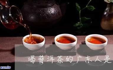 广东人爱喝普洱茶的原因