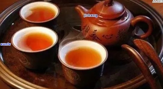 广东人能喝普洱茶吗