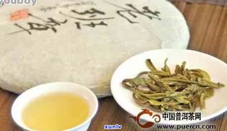 丰县普洱茶怎么样