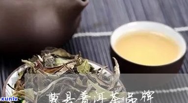 丰县普洱茶怎么样