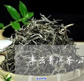 丰县普洱茶怎么样