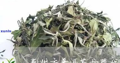 丰县普洱茶怎么样