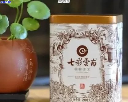 七彩云南特色普洱茶红盒 - 珍藏版，古树茶，高山云雾，品质保证，送礼佳品