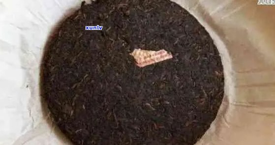 普洱茶饼冷冻保存的可行性及其对品质的影响：一篇全面解答