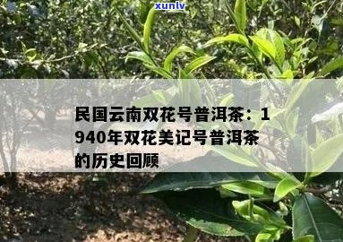 '双花美记号普洱茶1940:来历、价格与品鉴'