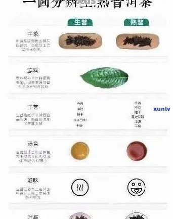 一团和气普洱熟茶：品质、 *** 工艺、功效与品饮技巧全面解析