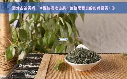 澜沧古茶：价格、品质与口感全面解析，让您深入了解这一珍稀茶叶