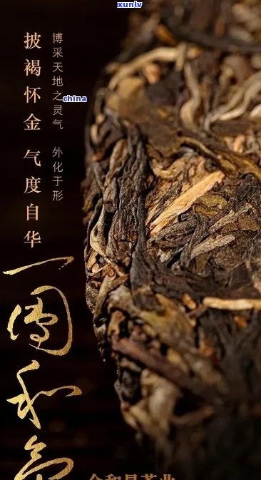 一团和气普洱茶价格