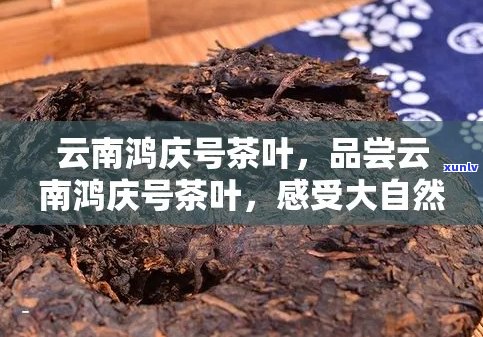 云南鸿庆号茶业： 正规的云南茶叶企业。