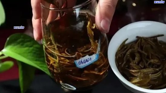 品味普洱古树茶的艺术：如何正确冲泡与品鉴