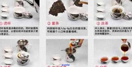 古树普洱茶的泡法大全：正确 *** 与技巧解析