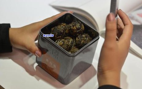 普洱古树茶的保存期限及何时饮用：解答用户关于存放时间和饮用时间的疑问