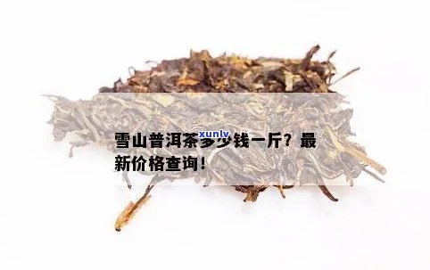 普洱茶大雪山价格表与最新市场价分析：大雪山普洱茶多少钱一斤？