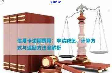 信用卡逾期利息减免政策：时间、金额及申诉流程详解，全面解决用户疑问