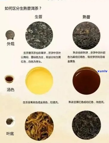 普洱茶黄色包装：分辨生茶与熟茶的关键