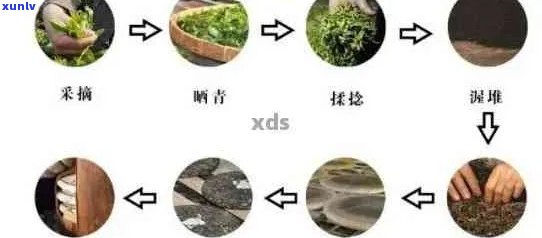 普洱茶八大 *** 工序：、种类和 ***  *** 。