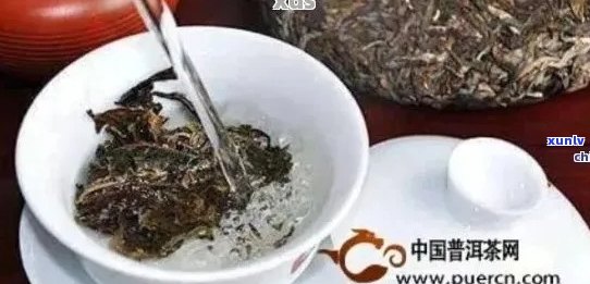 普洱茶饼的冲泡次数与品质关系解析：如何才能让每一杯茶都达到口感？