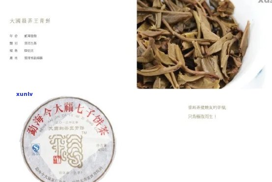 探究今大福普洱茶：一款全面了解的茶叶与种类