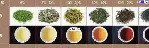 探究今大福普洱茶：一款全面了解的茶叶与种类