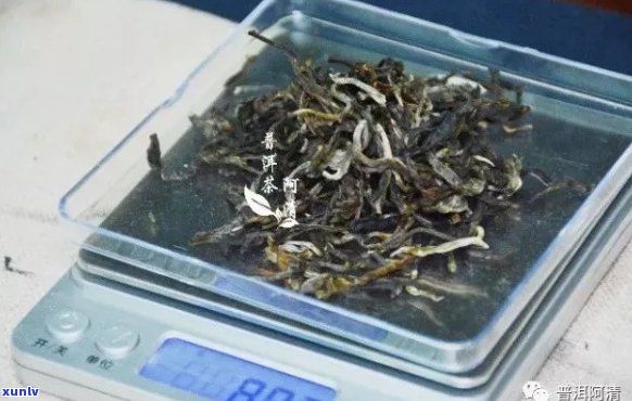 一公斤普洱茶叶的投放量：详细计算与指导，让你泡出更好的茶