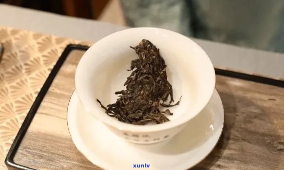 一公斤普洱茶叶的投放量：详细计算与指导，让你泡出更好的茶