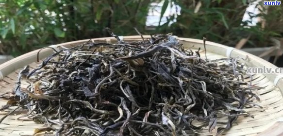 普洱茶毛茶产率与叶用量关系：一公斤叶出多少毛茶？