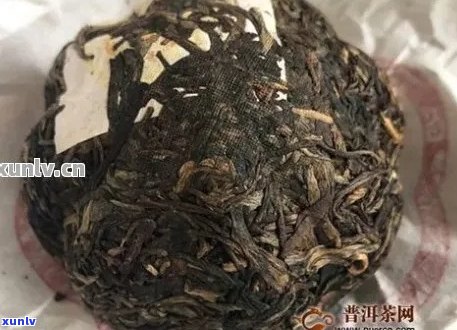 新普洱茶表面白沫现象解析与品饮技巧