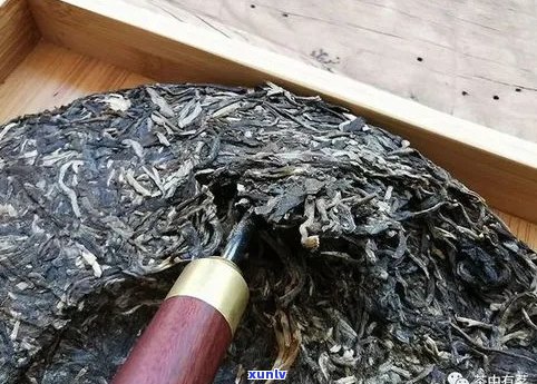 普洱茶饼泡法：是否需要破碎？如何正确冲泡与品鉴？