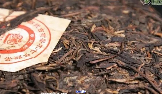 老普洱茶多少钱1斤