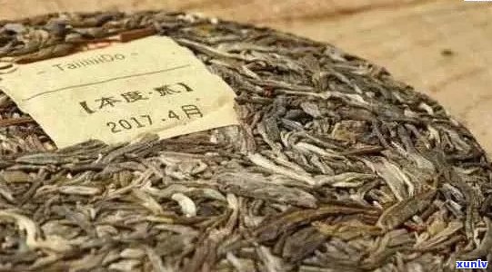 10元一盒的普洱茶饼：品种、品质与口感的全面解析