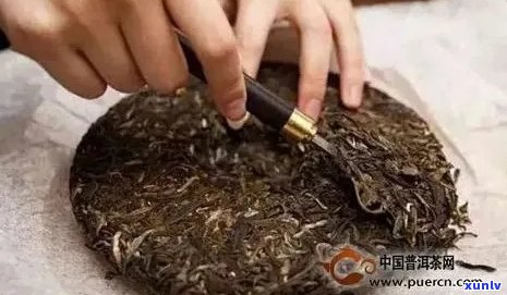 普洱茶饼的 ***  *** 及是否适合蒸煮：掌握正确步骤，品尝美味佳茗