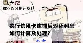 农业银行信用卡逾期还款后果及处理 *** ：如何避免罚息和信用损失？