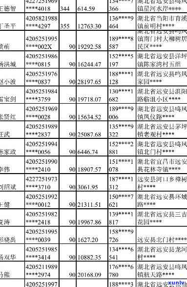 河县信用卡逾期还款者名单公示 - 确保金融秩序与个人信用