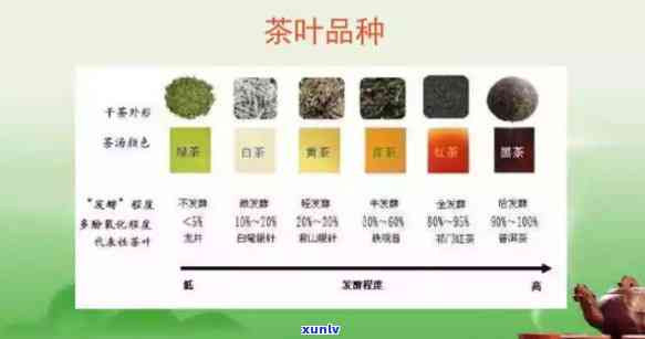 鼎泰茶叶：品种齐全、质量上乘，让您品味醇厚的中国茶文化