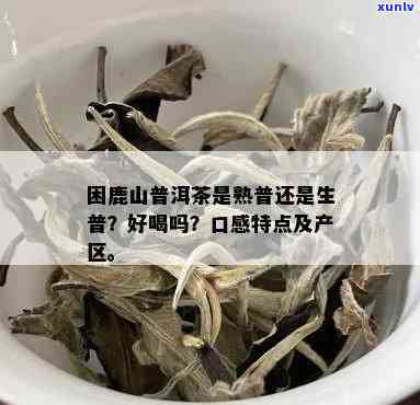 困鹿山普洱茶：揭秘熟普与生普的区别，哪种更适合你？