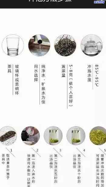 瑞福生茶业：提供高品质茶叶，探索茶文化，了解茶叶种类与冲泡 *** 