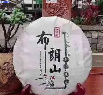 布郎山普洱茶：品质如何？口感是否令人满意？