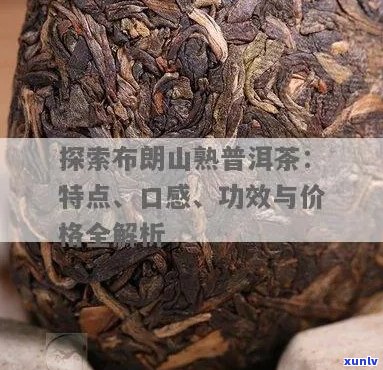 布郎山普洱茶的特点：品种、产地、 *** 工艺、口感及功效全方位解析