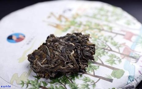 普洱茶饼 *** 工艺与保存 *** 分析：松散现象原因探讨