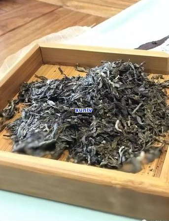 普洱茶饼太硬怎么办？如何变软？