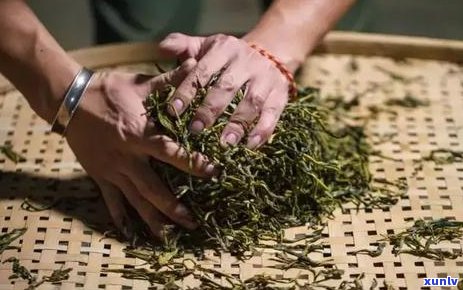 普洱茶饼太硬怎么办？如何变软？