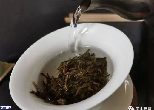 普洱茶的冲泡度与水：热开水是否适宜？