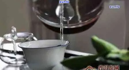 普洱茶能不能喝热的还是凉的：普洱茶泡法探讨